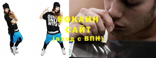 мет Бородино