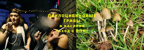 ПСИЛОЦИБИНОВЫЕ ГРИБЫ Армянск