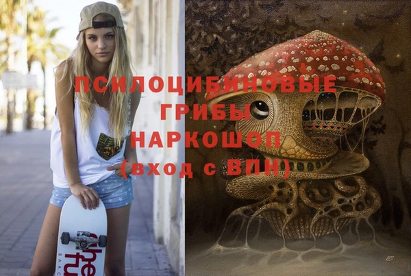 ПСИЛОЦИБИНОВЫЕ ГРИБЫ Балабаново