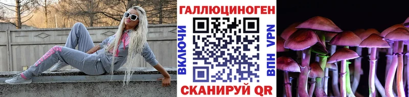 Галлюциногенные грибы Cubensis как найти Кемерово
